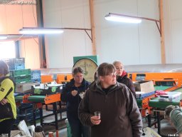 ws 260